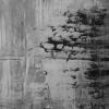 markus sumereder paintings